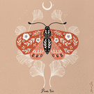 Papillon décoratif aux couleurs raffinées